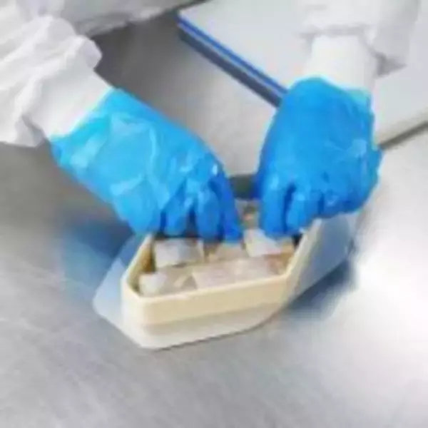 「もうすぐ新幹線がやって来る！　福井・敦賀の名物駅弁「元祖鯛鮨」とは？」の画像