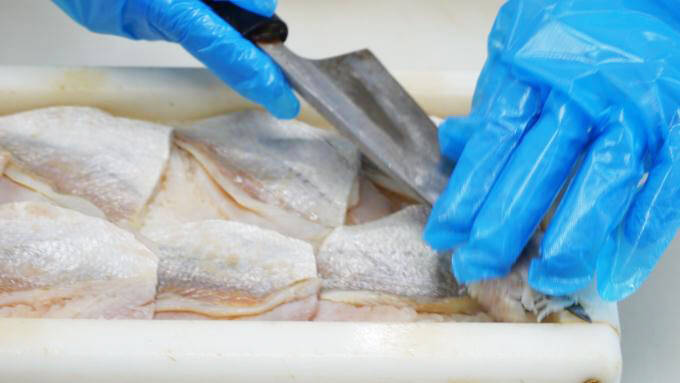 もうすぐ新幹線がやって来る！　福井・敦賀の名物駅弁「元祖鯛鮨」とは？