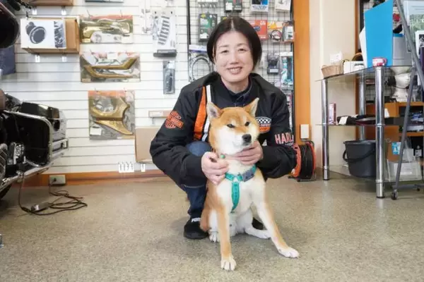行方不明となったお店の看板犬を捜索「皆さまの温かい思いで家に戻れました」