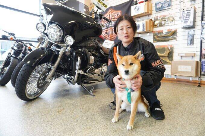 行方不明となったお店の看板犬を捜索「皆さまの温かい思いで家に戻れました」