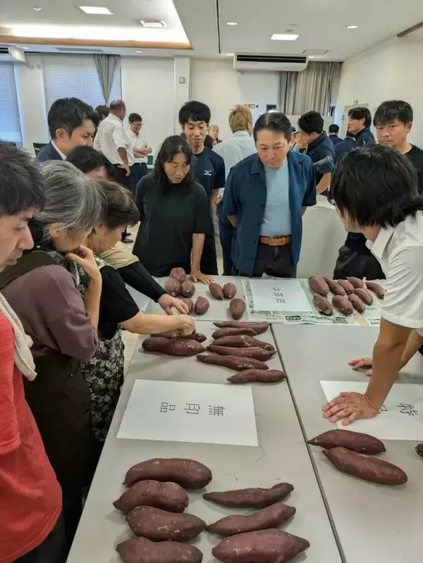 「茨城県鉾田市で甘藷目揃い会開催」の画像