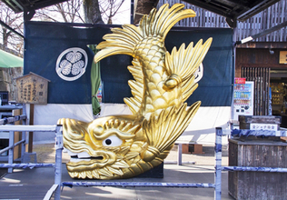 「しゃちほこ」と海のシャチって何か関係あるの？