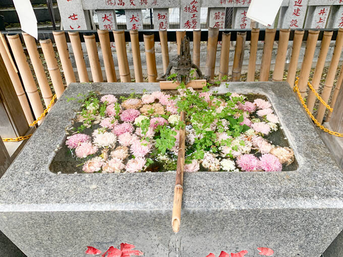 知恵の神様を祀る日本唯一の気象神社ってなに！？　高円寺氷川神社にてランパンプスが合格祈願！