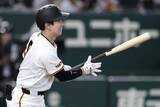 「江本氏、巨人・松本剛の打撃に「首位打者を獲った時のような…」」の画像1