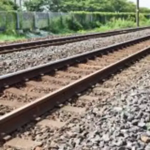 「「JR東日本パス」の旅・直前！　秋田の新ブランド米・サキホコレの新作駅弁はこうしてできる！」の画像