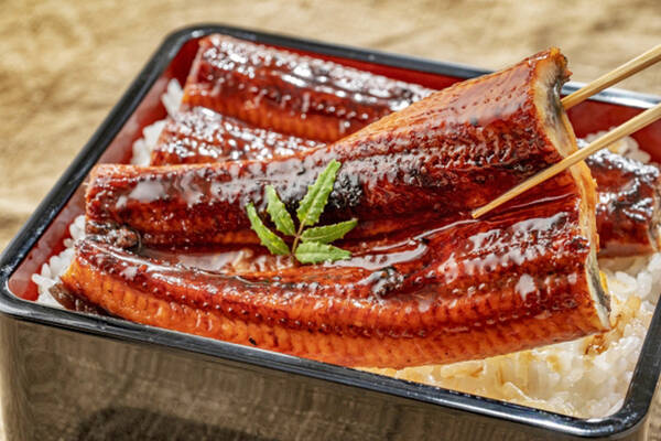 どうして 土用の丑の日 にウナギを食べるようになったの 22年7月23日 エキサイトニュース