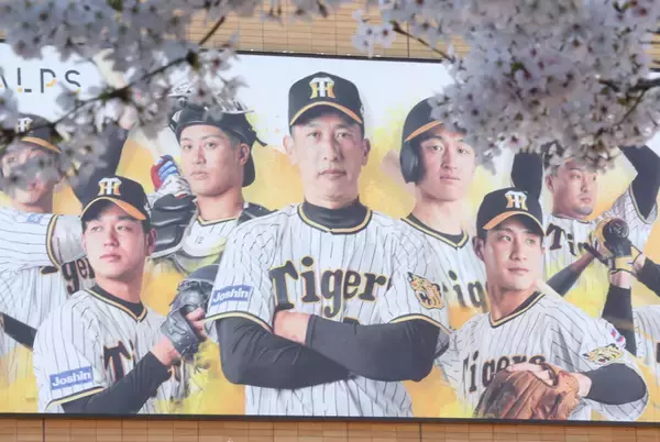 阪神9連敗　オーナーの「矢野監督代えない」発言に　「そういうしかないでしょ」　辛坊治郎氏が指摘