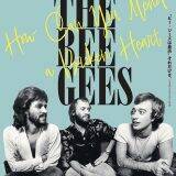 「『母性』戸田恵梨香×永野芽郁、母と娘の絆とは……」の画像13