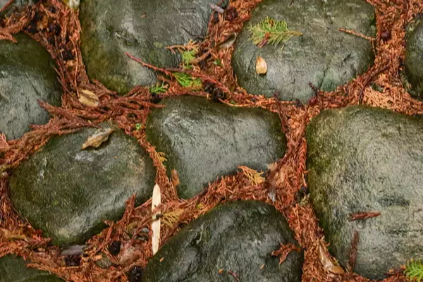 「“すべらない”は本当なのか！？　静岡・すべらず地蔵尊でランパンプスがガチ検証！」の画像