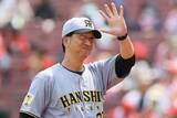 「混セ！首位・阪神、巨人から3位・ヤクルトまで0.5差！大矢氏「見ている方は面白い」」の画像1