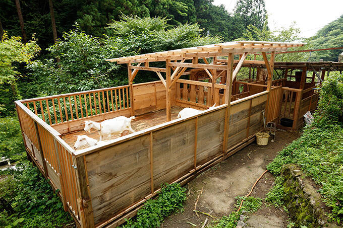 なぜ日本では珍しい「ヤギのチーズ」をつくるのか？　「養沢ヤギ牧場」の情熱