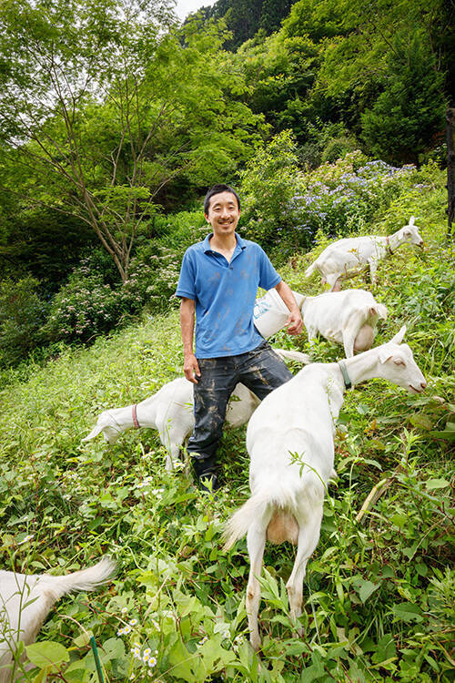 なぜ日本では珍しい「ヤギのチーズ」をつくるのか？　「養沢ヤギ牧場」の情熱