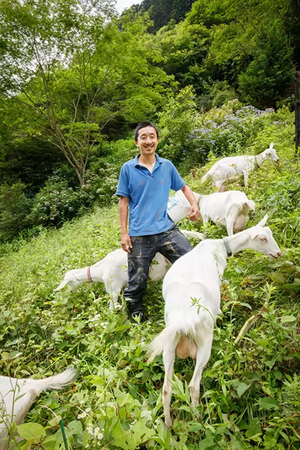 「なぜ日本では珍しい「ヤギのチーズ」をつくるのか？　「養沢ヤギ牧場」の情熱」の画像