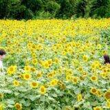 『てっぺんの向こうにあなたがいる』吉永小百合最新作、自身初の登山家役に挑む