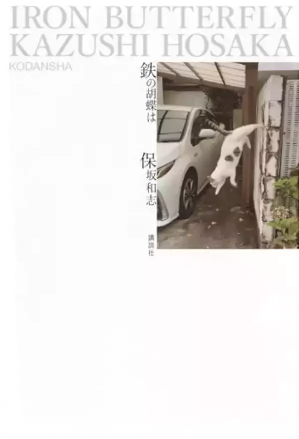 長編小説（なのか？）。エッセイのようにも、私小説のようにも読める。