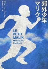 格差の中でも悲壮感なく生きる少年 パリ郊外の成長物語を優しく描く