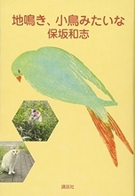 保坂和志は、小説家が書いたことのない未踏の領域にいる