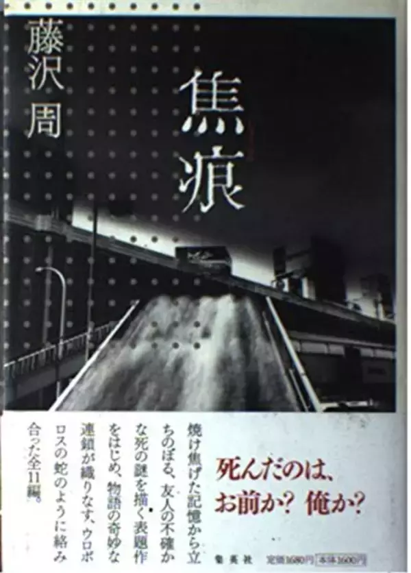 心理の機微の細かい描写に加え、人物の動かし方に新境地を開拓