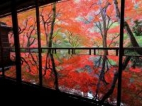 【2025年】京都で人気の紅葉スポットランキング！ 2位は「嵐山」、1位は？【専門家のおすすめも】
