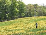 「東北地方の「ゴールデンウイークに行きたい花畑」ランキング！ 2位「みやぎ蔵王えぼしリゾート」を抑えた1位は？【2026年調査】」の画像1