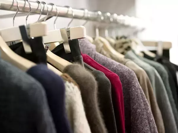 「「虫食いを避ける」ための正しい衣替えとは？ 害虫被害にあう「NG行動」4選」の画像