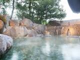 「【岐阜県で泊まってよかった】「水明館」は美人の湯・下呂温泉を堪能できる宿。飛騨の風とせせらぎに癒される」の画像1