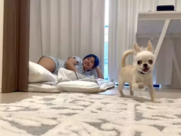 「0歳、家賃0円、東京暮らし、無職」阿波みなみ、愛犬との自宅ショット公開「布団で寝てるペットかわいい」