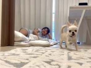 「0歳、家賃0円、東京暮らし、無職」阿波みなみ、愛犬との自宅ショット公開「布団で寝てるペットかわいい」