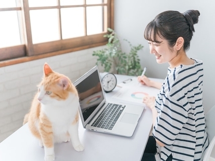 【8月10日から】ゆうちょ銀行が金利引き上げ！定期貯金に20万円、50万円、100万円預けると利息は？