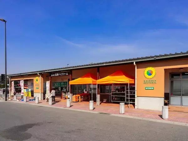 好き＆行ってみたい「岡山県の道の駅」ランキング！ 2位「笠岡ベイファーム」を抑えた1位は？【2026年調査】