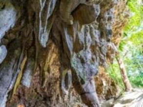 冬に行きたい「沖縄県の穴場秘境」ランキング！ 2位「ガンガラーの谷」を抑えた1位は？【2026年調査】