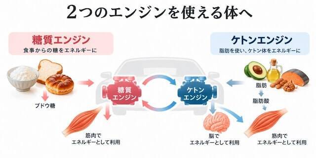 「太っていないのになぜ？」「男性の病気かと……」 痩せている女性に今「脂肪肝」が増えているワケ