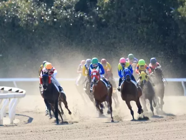 好き＆行ってみたい「競馬場（地方競馬）」ランキング！ 2位「大井競馬場」を抑えた1位は？【2025年調査】