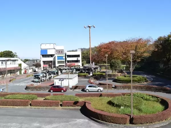 好き＆行ってみたい「埼玉県の商店街・市場」ランキング！ 2位「ジョンソンタウン」、1位は？【2026年調査】