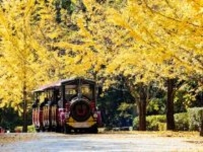 埼玉県で「外国人観光客におすすめしたい温泉地」ランキング！ 「柴原温泉」を抑えた1位は？ 【2025年調査】