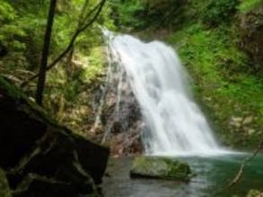 冬に行きたい「広島県の滝」ランキング！ 2位「ふぶきの滝」を抑えた1位は？【2026年調査】