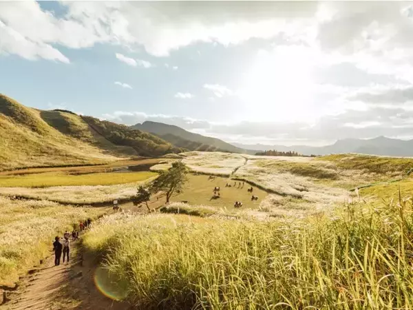 読むのが難しいと思う「和歌山県の自治体」ランキング！ 2位「御坊市」を抑えた1位は？【2026年調査】