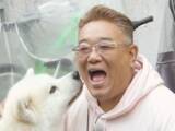「もっと身長が高いように感じる「お笑い芸人」ランキング！ 2位は「伊達みきお」、圧倒的1位は？」の画像1