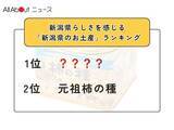 「新潟県らしさを感じる「新潟県のお土産」ランキング！ 2位「元祖柿の種」を抑えた1位は？【2026年調査】」の画像1