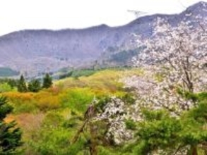 春に行きたいと思う「山形県の旅行先」ランキング！ 2位「蔵王連峰」を抑えた1位は？【2026年調査】