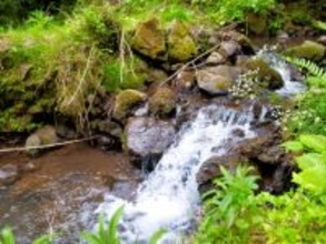 冬に行きたい「京都府の滝」ランキング！ 2位「味土野ガラシャ大滝」を抑えた1位は？【2026年調査】