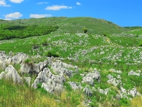 長期休みに行きたいと思う「山口県の旅行先」ランキング！ 2位「秋吉台」を抑えた1位は？【2026年調査】