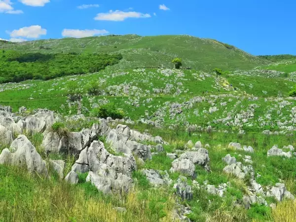 長期休みに行きたいと思う「山口県の旅行先」ランキング！ 2位「秋吉台」を抑えた1位は？【2026年調査】