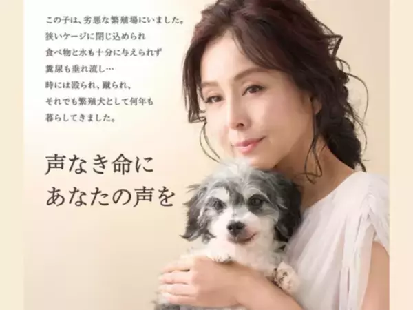 「愛犬家」の印象が強い女性芸能人ランキング！ 2位「杉本彩」、15票差の1位は？