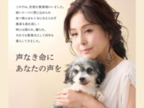 「愛犬家」の印象が強い女性芸能人ランキング！ 2位「杉本彩」、15票差の1位は？