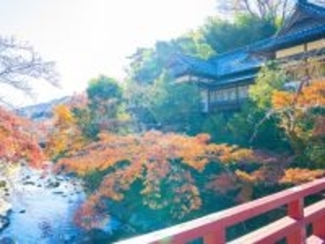 長期休みに行きたいと思う「神奈川県（箱根・湯河原エリア）の温泉地」ランキング！ 2位「湯河原温泉」、1位は？