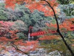 遠方からでも行きたいと思う「山口県の道の駅」ランキング！ 2位「長門峡（山口市）」を抑えた1位は？【2025年調査】