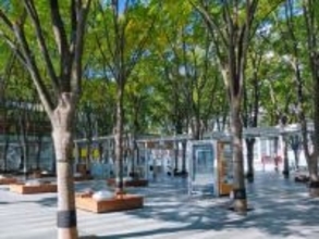 好き&行ってみたい「埼玉県のイルミネーション2025」ランキング！ 2位「さいたま新都心イルミネーション」、1位は？