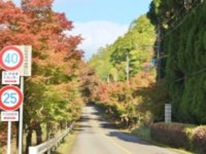 クリスマスに行きたい「京都府の絶景ドライブスポット」ランキング！ 2位「嵐山高雄パークウェイ」を抑えた1位は？