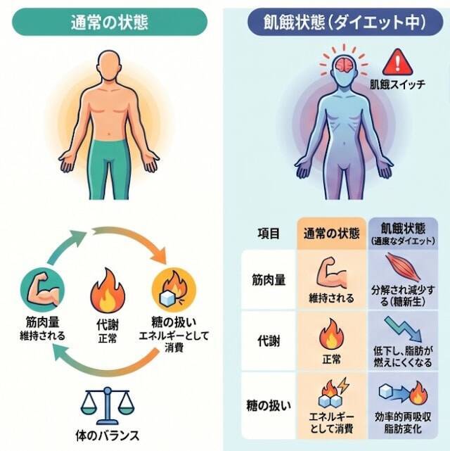 ダイエットを頑張るほど太りやすい体に!? 糖質制限ダイエットで痩せても「リバウンド不可避」になる理由